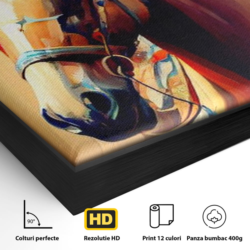 Detaliu al suprafetei: tablou canvas cu cap de cal pictat, in rama de aluminiu negru